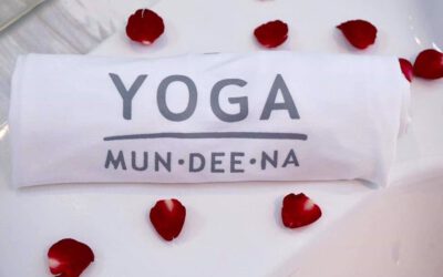 หนังสือบำบัดโรคภูมิแพ้ด้วย YOGA